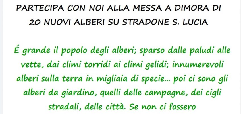 SABATO 19 FEBBRAIO PIANTIAMO ALBERI!