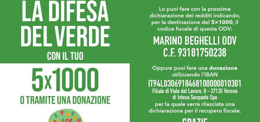 Aiuta il Comitato di Verona Sud con il 5 x 1.000 o tramite una donazione